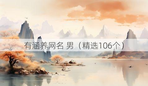有涵养网名 男(精选106个)