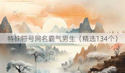 特殊符号网名霸气男生(精选134个)