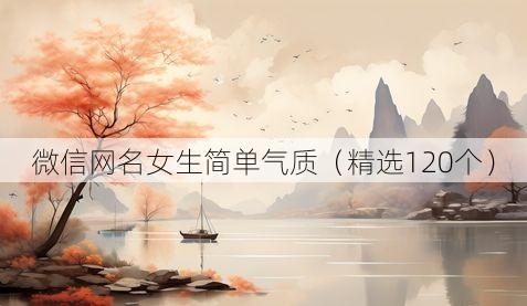 微信网名女生简单气质(精选120个)