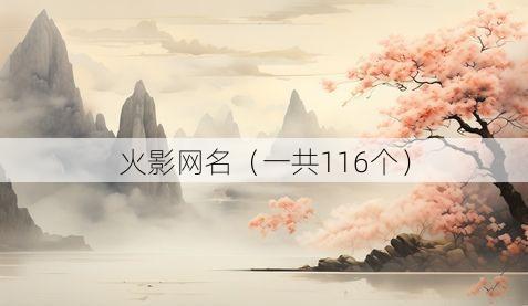 火影网名(一共116个)