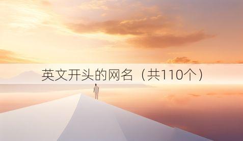 英文开头的网名(共110个)