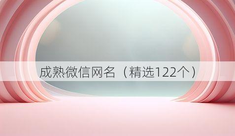 成熟微信网名(精选122个)