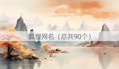 狐狸网名(总共90个)