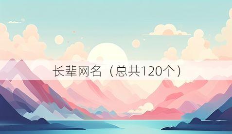 长辈网名(总共120个)