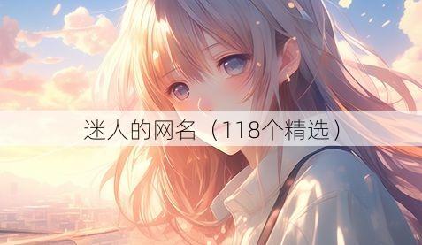 迷人的网名(118个精选)