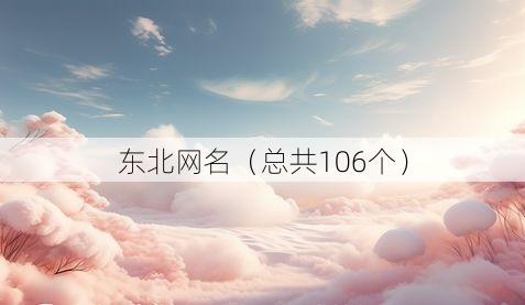 东北网名（总共106个）