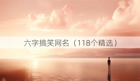 六字搞笑网名（118个精选）