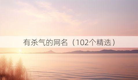 有杀气的网名(102个精选)