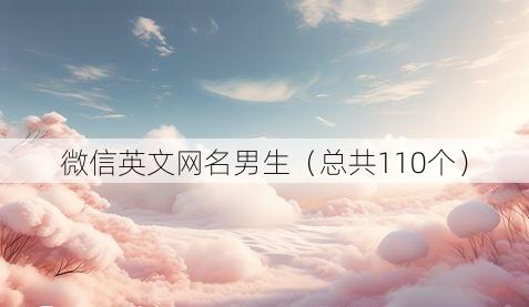微信英文网名男生(总共110个)
