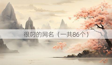 很叼的网名(一共86个)