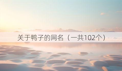 关于鸭子的网名（一共102个）