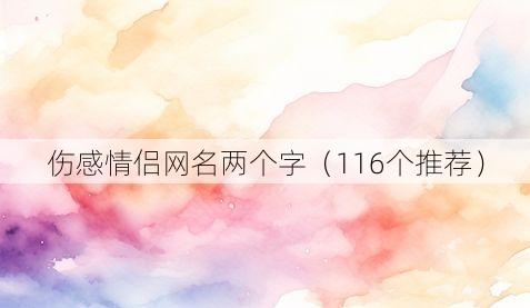 伤感情侣网名两个字(116个推荐)