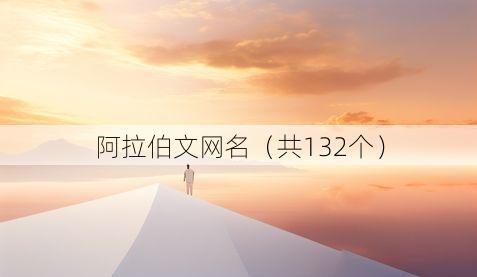 阿拉伯文网名(共132个)