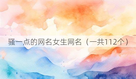 骚一点的网名女生网名（一共112个）