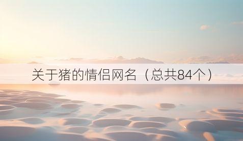 关于猪的情侣网名（总共84个）