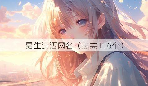 男生潇洒网名（总共116个）