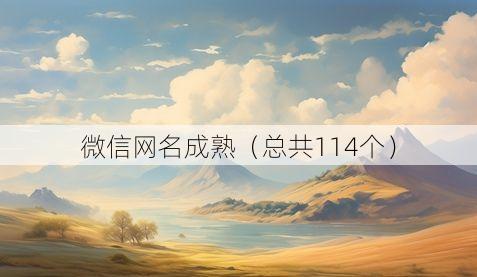 微信网名成熟(总共114个)