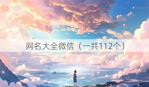 网名大全微信(一共112个)