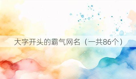 大字开头的霸气网名(一共86个)