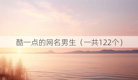 酷一点的网名男生(一共122个)