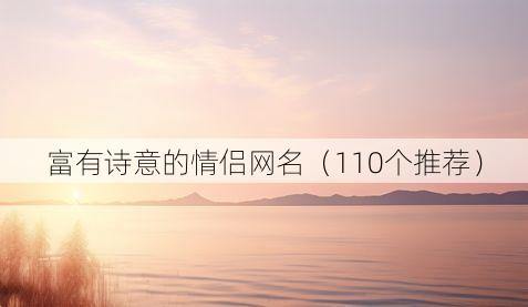 富有诗意的情侣网名（110个推荐）