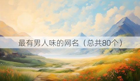 最有男人味的网名(总共80个)