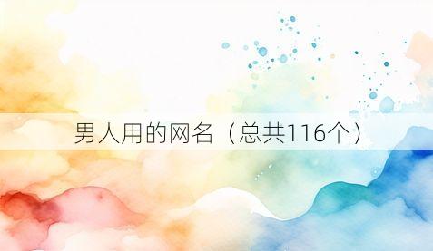男人用的网名(总共116个)