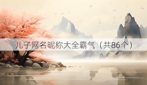儿子网名昵称大全霸气(共86个)