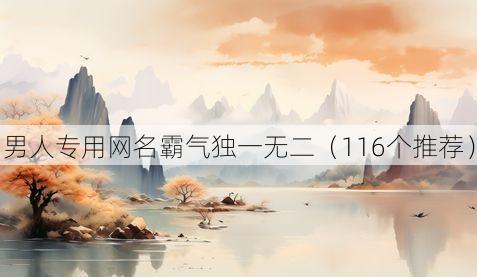 男人专用网名霸气独一无二(116个推荐)