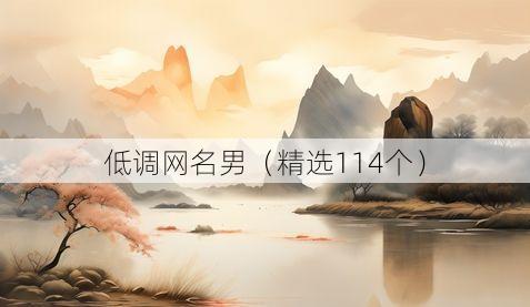 低调网名男(精选114个)