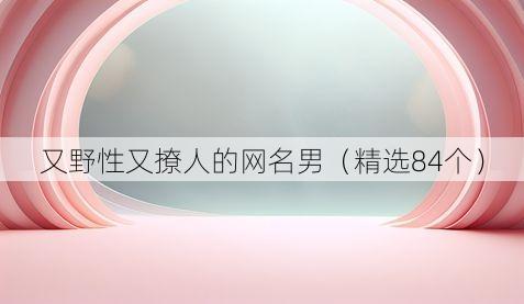 又野性又撩人的网名男(精选84个)