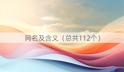 网名及含义(总共112个)