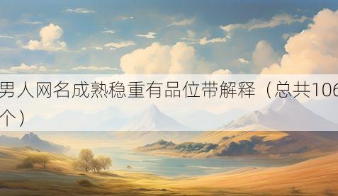 男人网名成熟稳重有品位带解释(总共106个)