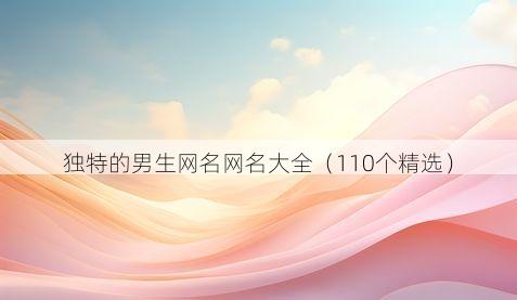独特的男生网名网名大全(110个精选)