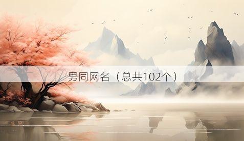 男同网名(总共102个)