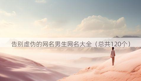 告别虚伪的网名男生网名大全（总共120个）