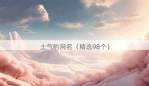 土气的网名（精选98个）