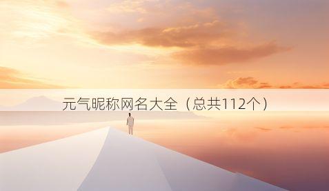元气昵称网名大全(总共112个)