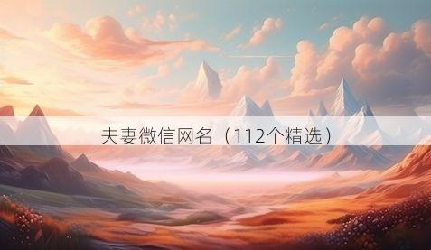 夫妻微信网名(112个精选)