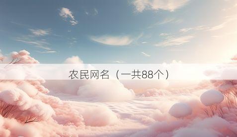 农民网名(一共88个)