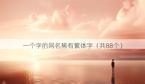 一个字的网名稀有繁体字(共88个)