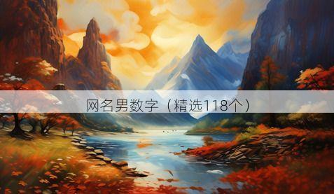 网名男数字(精选118个)