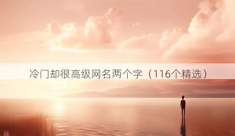 冷门却很高级网名两个字(116个精选)