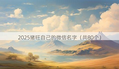 2025猪旺自己的微信名字(共80个)