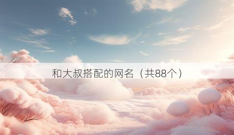 和大叔搭配的网名（共88个）