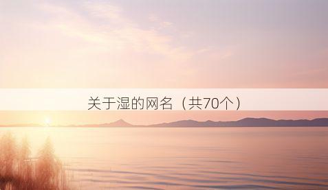 关于湿的网名(共70个)