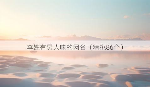 李姓有男人味的网名(精挑86个)