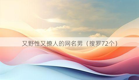 又野性又撩人的网名男(搜罗72个)