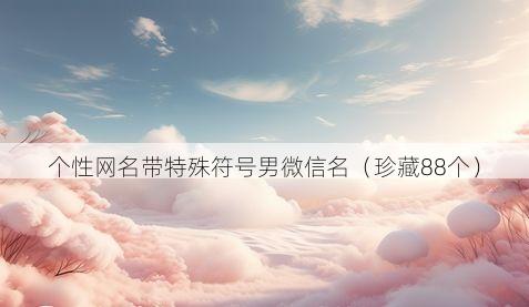 个性网名带特殊符号男微信名（珍藏88个）