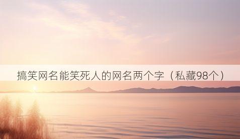 搞笑网名能笑死人的网名两个字（私藏98个）